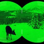 Why are Night Vision Goggles Green?