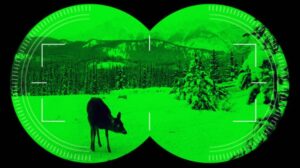 Why are Night Vision Goggles Green?