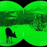 What Should You Not Do With Night Vision?