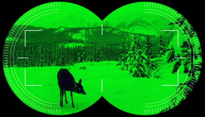 What Should You Not Do With Night Vision?