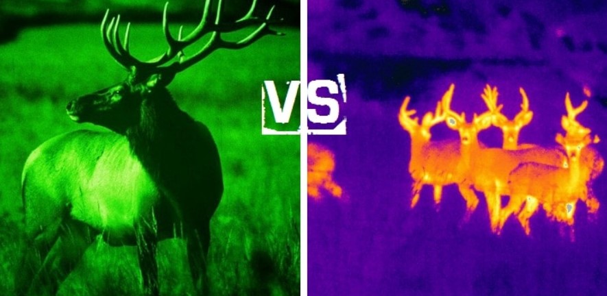 What is the Difference Between Thermal and Infrared Scopes?