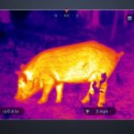 Thermal Vision