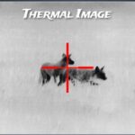 thermal target