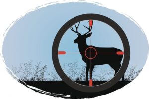 Deer in crosshair