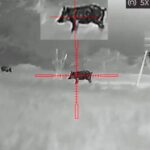 Night vision Image