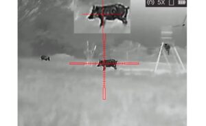 Night vision Image
