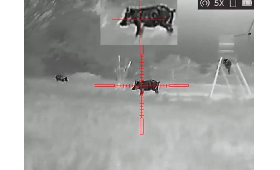 Night vision Image